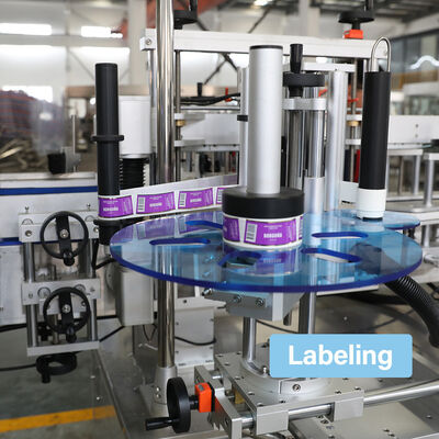 3-in-1 Automatic Glass Bottle Filling Machine for Beer Carbonated Drinks